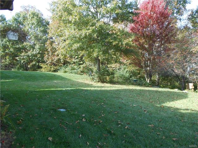 1119 Cypress Point Dr, O'fallon, MO 63366 photo 88
