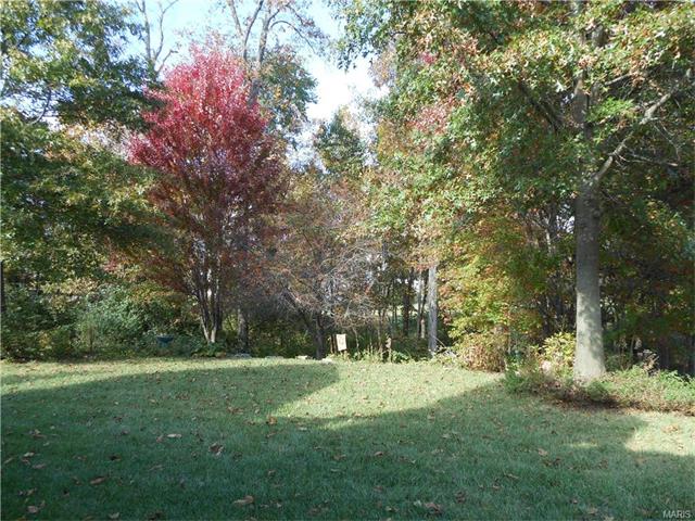 1119 Cypress Point Dr, O'fallon, MO 63366 photo 33