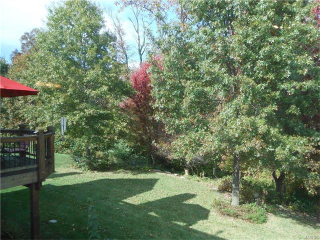 1119 Cypress Point Dr, O'fallon, MO 63366 photo 69