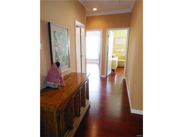 1119 Cypress Point Dr, O'fallon, MO 63366 photo 73