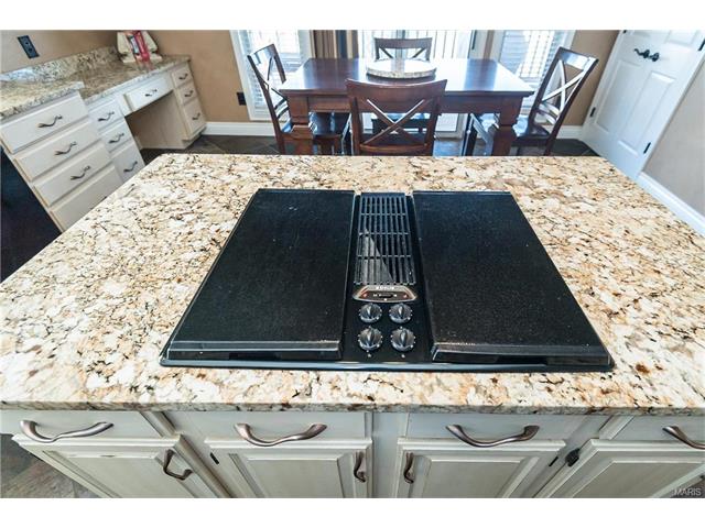 425 Arbor Meadow Ct, Ballwin, MO 63021 photo 18