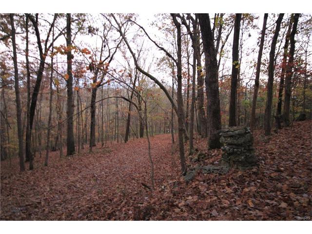 533 Palisades Rd, Ballwin, MO 63021 photo 15