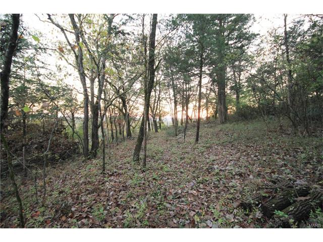 533 Palisades Rd, Ballwin, MO 63021 photo 13