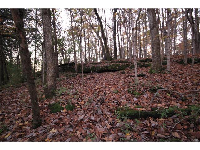 533 Palisades Rd, Ballwin, MO 63021 photo 8
