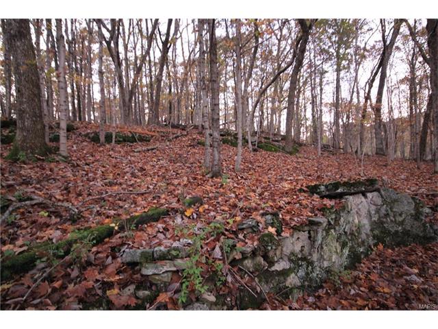 533 Palisades Rd, Ballwin, MO 63021 photo 11