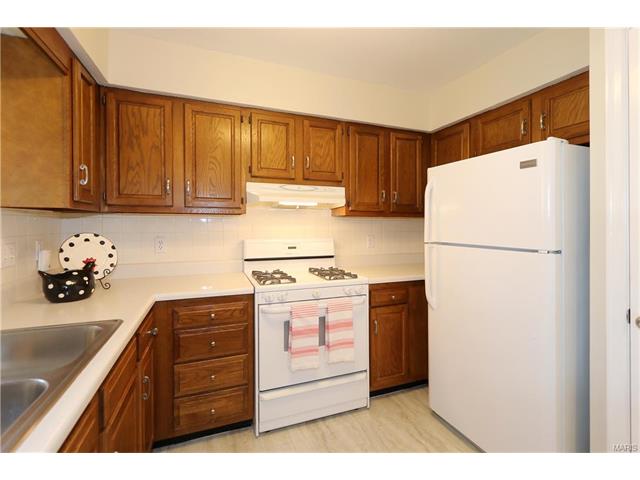 5 Carriage Creek Ct, Ballwin, MO 63021 photo 11