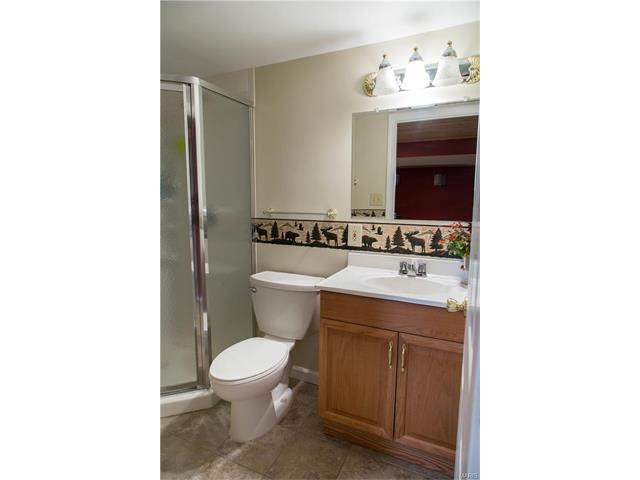 201 Lindy Blvd, Ballwin, MO 63021 photo 25