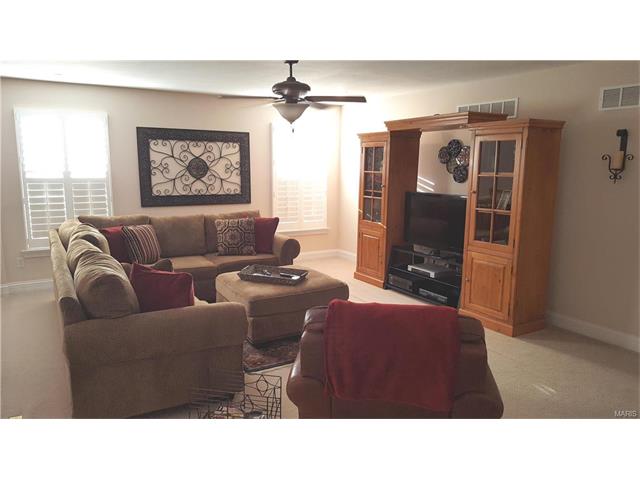 711 Cooper Way Dr, O'fallon, MO 63368 photo 16