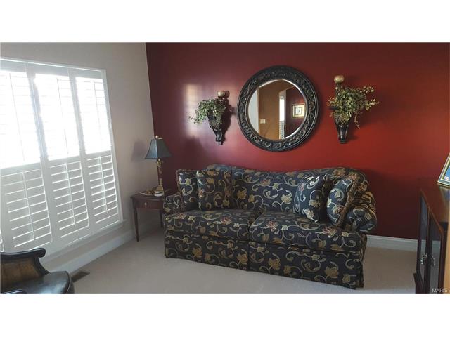 711 Cooper Way Dr, O'fallon, MO 63368 photo 5