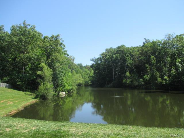 878 Castle Pnes, Ballwin, MO 63021 photo 2