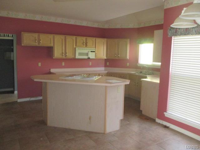 878 Castle Pnes, Ballwin, MO 63021 photo 10