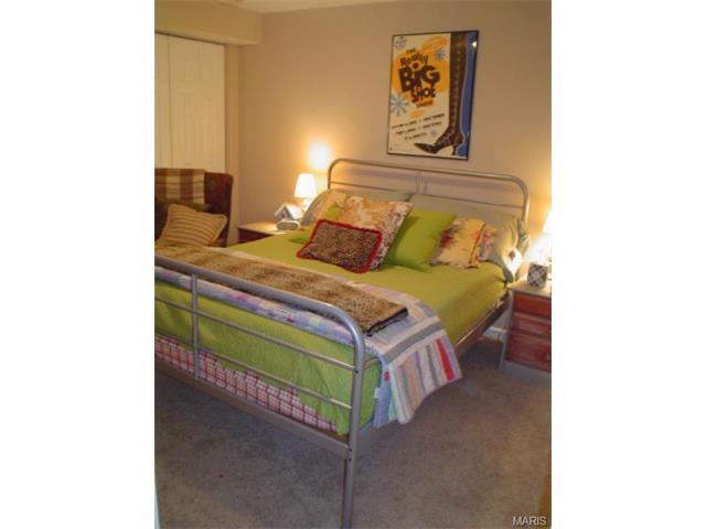 869 Pheasant Woods Dr, Ballwin, MO 63021 photo 32