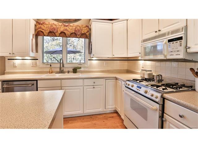 869 Pheasant Woods Dr, Ballwin, MO 63021 photo 10