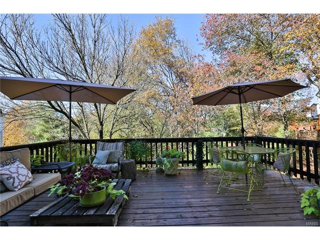 869 Pheasant Woods Dr, Ballwin, MO 63021 photo 33