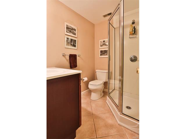 869 Pheasant Woods Dr, Ballwin, MO 63021 photo 31