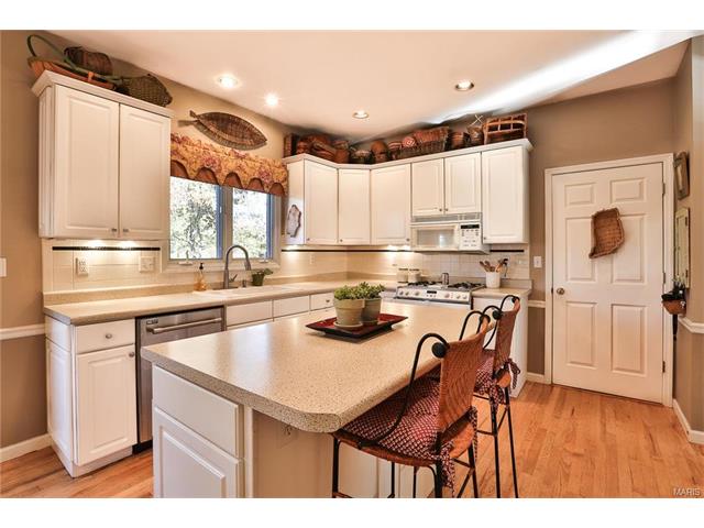 869 Pheasant Woods Dr, Ballwin, MO 63021 photo 11