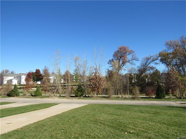 915 Rolling Thunder Dr, O'fallon, MO 63368 photo 29