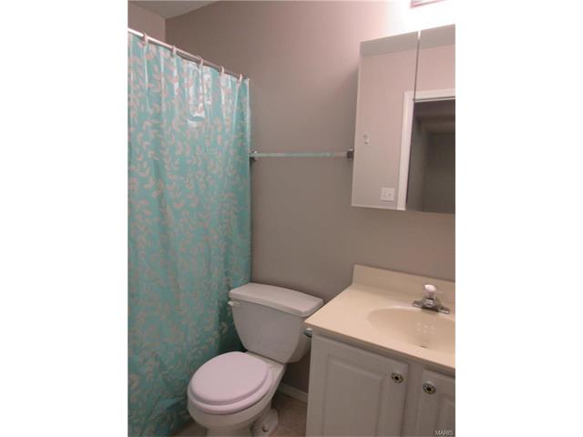 915 Rolling Thunder Dr, O'fallon, MO 63368 photo 20