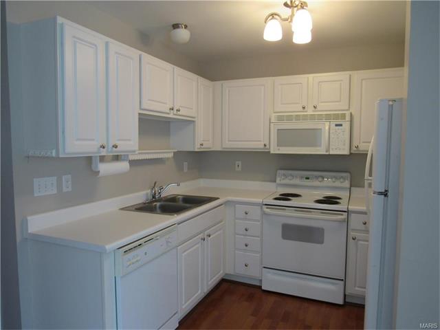 915 Rolling Thunder Dr, O'fallon, MO 63368 photo 2