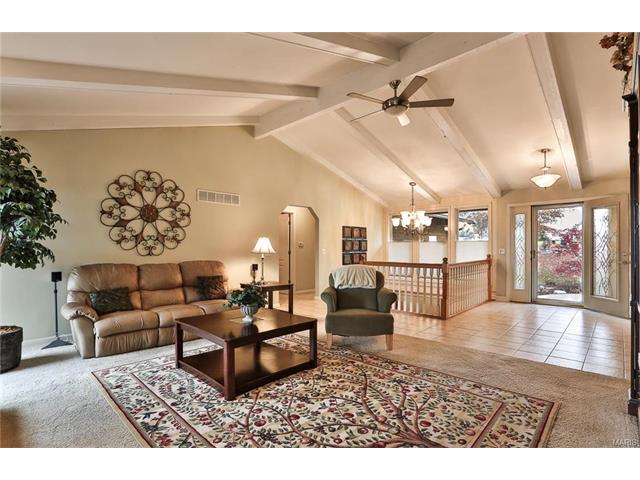 815 Butterfly Ln, Weldon Spring, MO 63304 photo 11