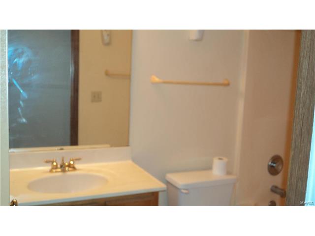 2522 Balaji Ct, Ballwin, MO 63011 photo 24