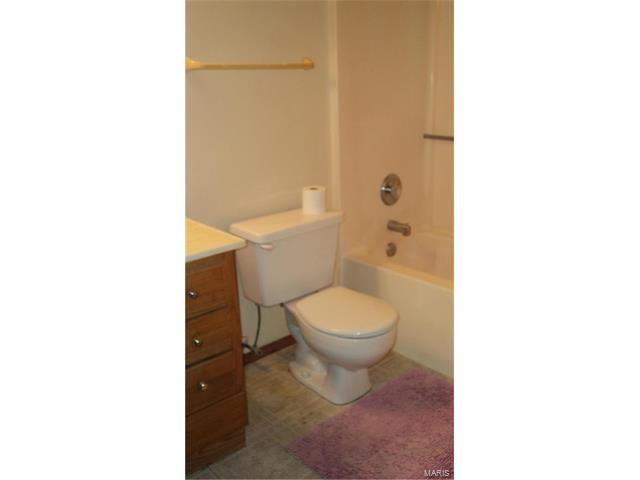 2522 Balaji Ct, Ballwin, MO 63011 photo 26