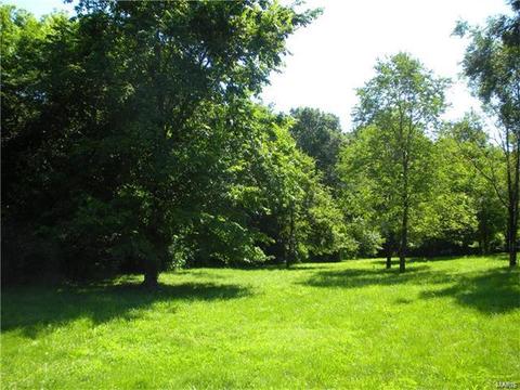 1112 Bryan Rd, O'fallon, MO 63366 photo 8