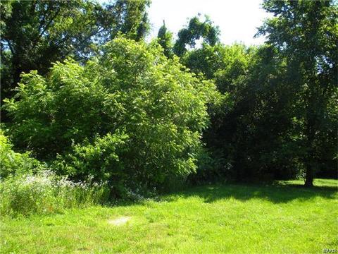 1112 Bryan Rd, O'fallon, MO 63366 photo 7