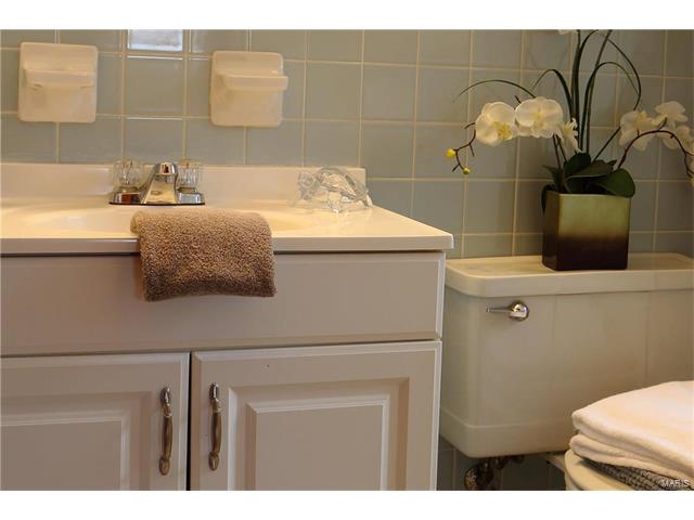 7339 Devonshire Ave, Saint Louis, MO 63119 photo 17