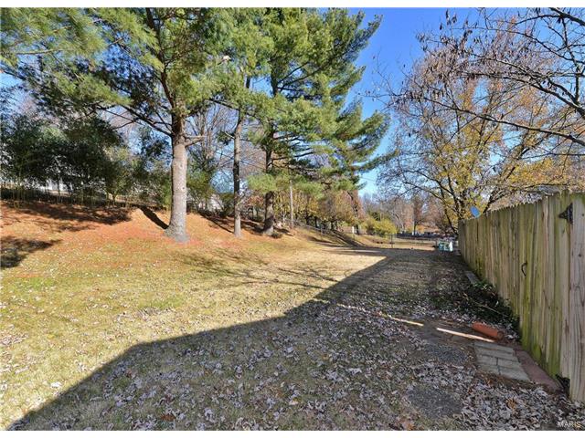 1111 Bromfield Ter, Manchester, MO 63021 photo 23