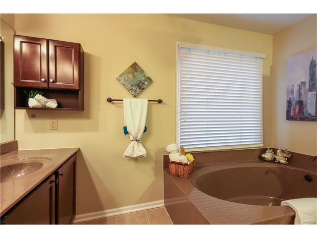 12044 Avery Ln, Bridgeton, MO 63044 photo 28