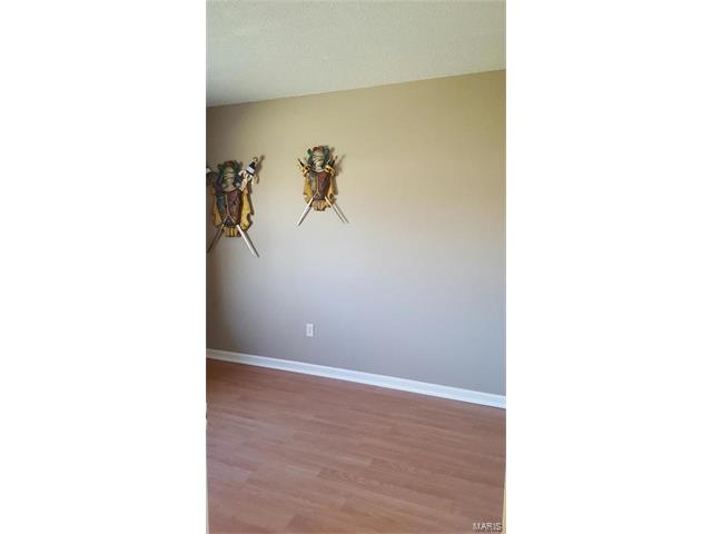 707 Aster Ln, O'fallon, MO 63366 photo 9