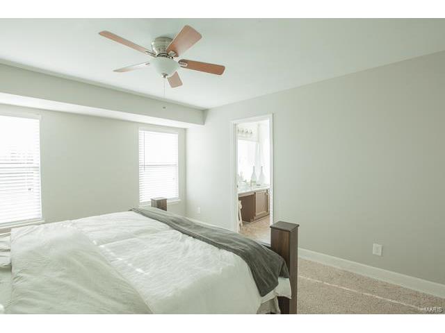 16 Royalltrail Ct, O'fallon, MO 63368 photo 17