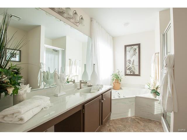 16 Royalltrail Ct, O'fallon, MO 63368 photo 18