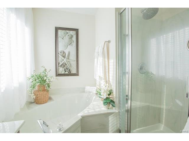 16 Royalltrail Ct, O'fallon, MO 63368 photo 19