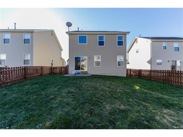 421 Spring Trce, O'fallon, MO 63368 photo 41
