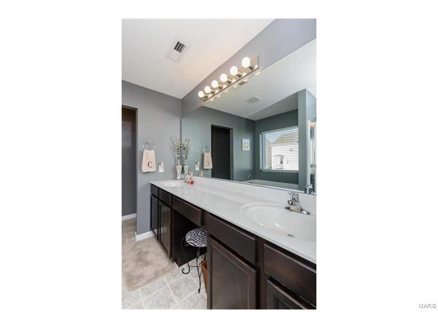 421 Spring Trce, O'fallon, MO 63368 photo 24