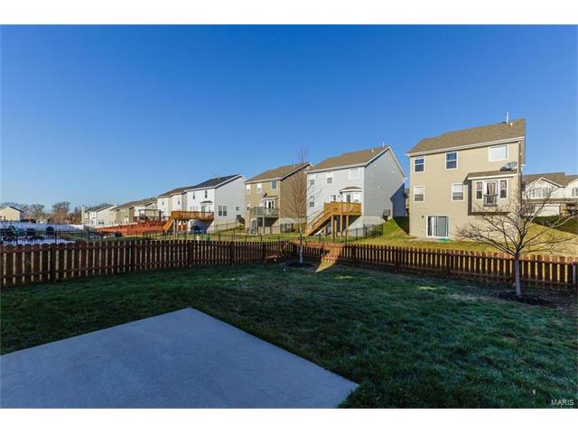 421 Spring Trce, O'fallon, MO 63368 photo 38