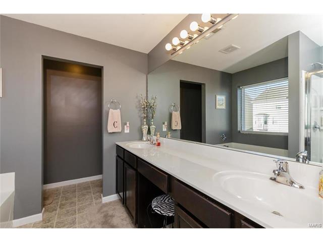 421 Spring Trce, O'fallon, MO 63368 photo 23