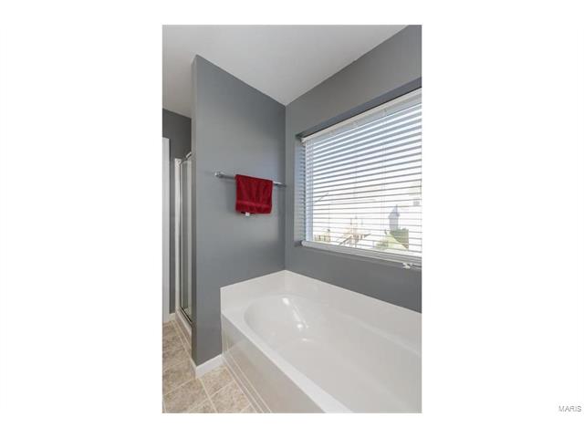 421 Spring Trce, O'fallon, MO 63368 photo 26
