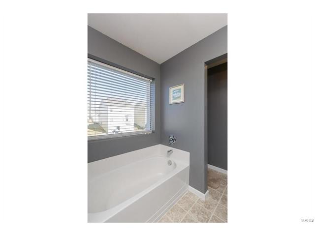 421 Spring Trce, O'fallon, MO 63368 photo 25