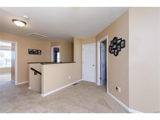 421 Spring Trce, O'fallon, MO 63368 photo 18