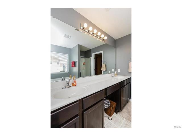 421 Spring Trce, O'fallon, MO 63368 photo 27