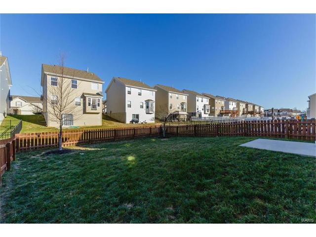 421 Spring Trce, O'fallon, MO 63368 photo 43