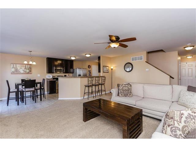 421 Spring Trce, O'fallon, MO 63368 photo 6