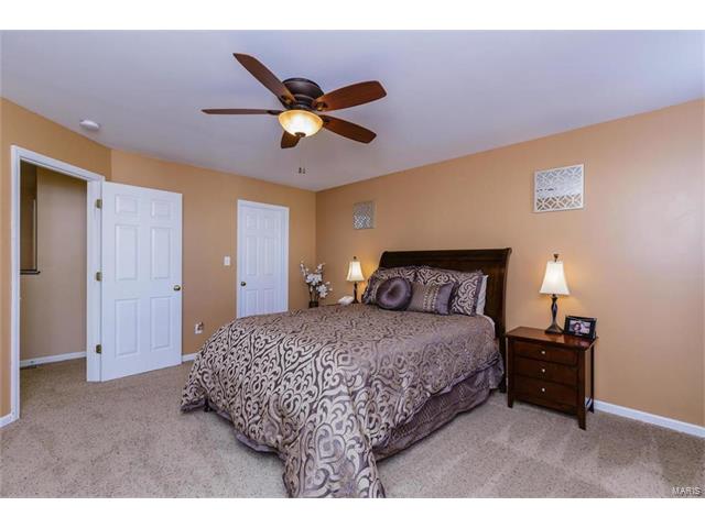 421 Spring Trce, O'fallon, MO 63368 photo 22