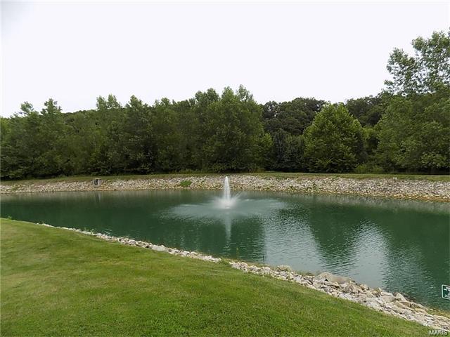1622 Forest Spgs #C, Ballwin, MO 63021 photo 30