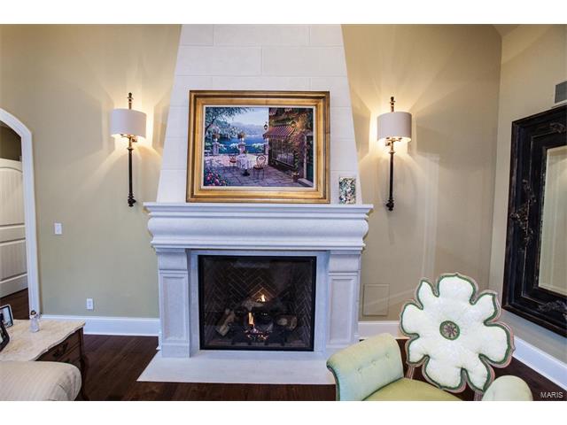 719 Dominion Dr, Saint Louis, MO 63131 photo 9