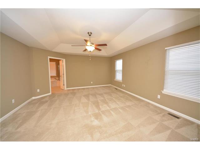 923 Tower Pl, O'fallon, MO 63366 photo 19