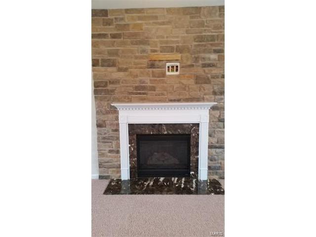 208 Flint Brook Dr, O'fallon, MO 63366 photo 8